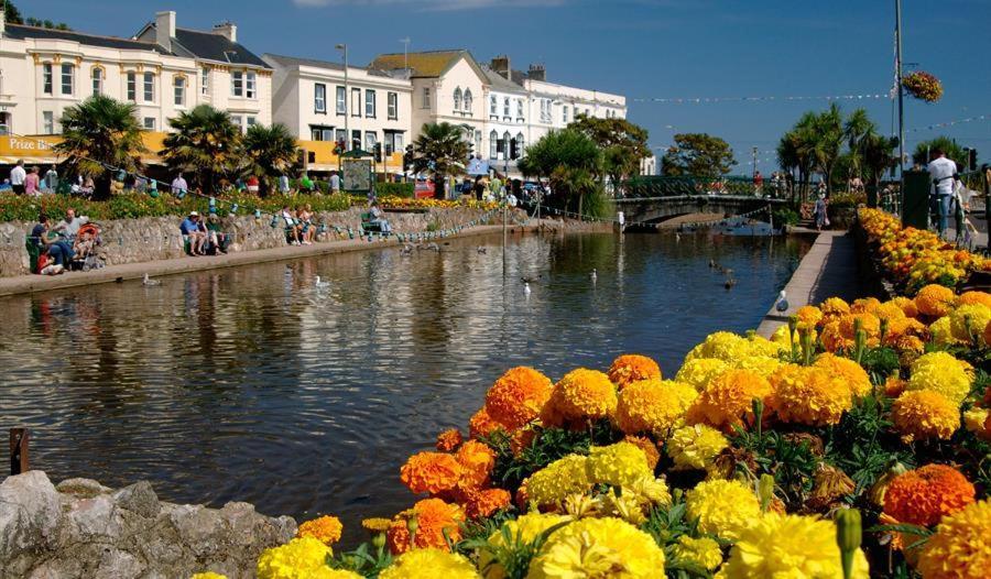 Dawlish Lawn View Apartment Exterior foto